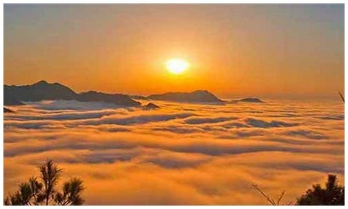 2026最新龙岛异兽安卓下载模拟器能不能玩？附新手避坑建议