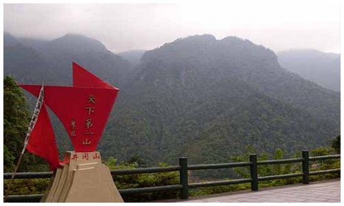 2026最新龙岛异兽安卓下载模拟器能不能玩？附龙种培养思路